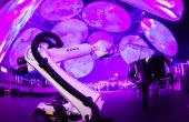 IRGAwards 2024 Deloitte