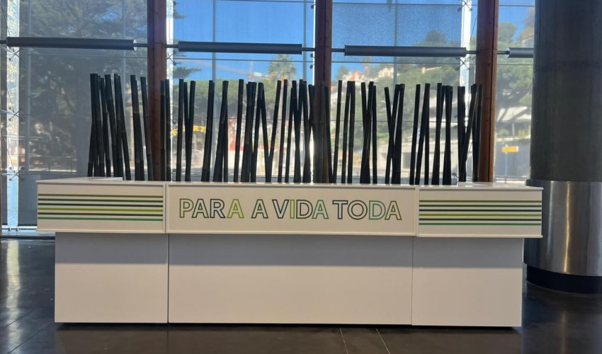 Para a Vida Toda / Tranquilidade