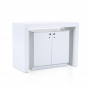 Triumph Counter