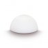 ½ Globe