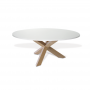 X Table